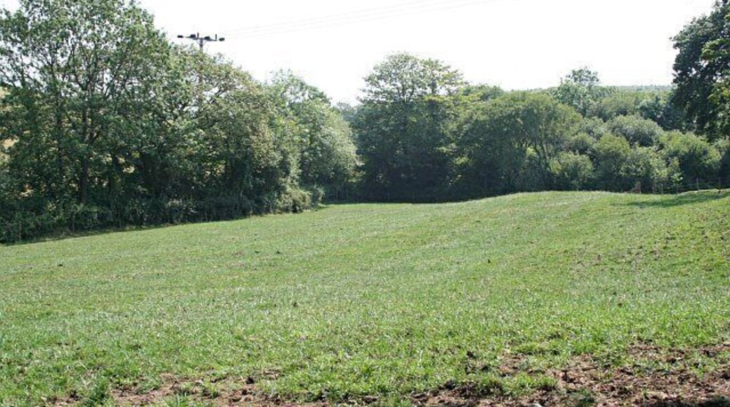 Small Pasture Field.