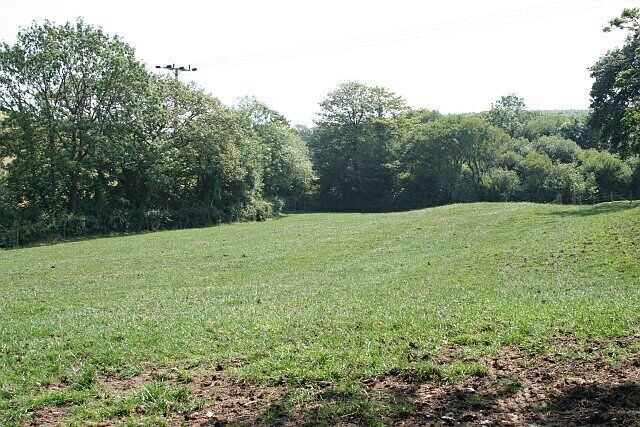 A grassy field with trees in the background.