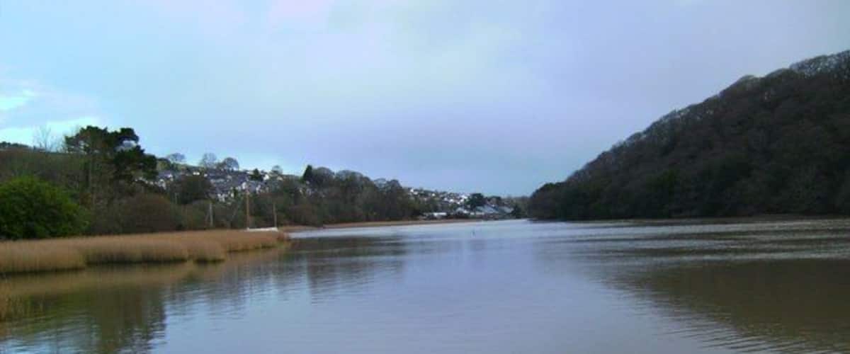 A calm river with a forested hillside on one side and a residential area on the other.