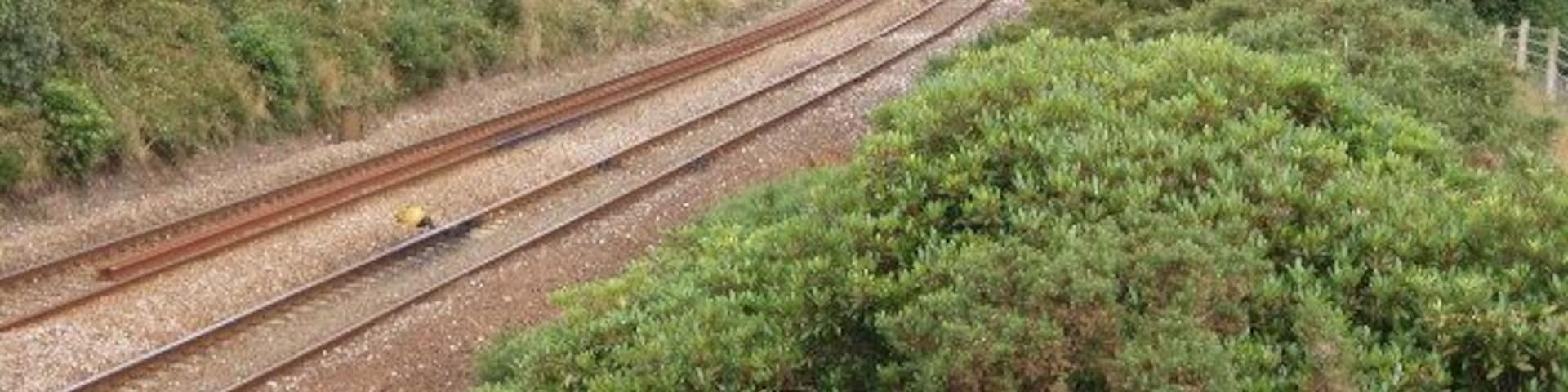 Railway outside Redruth. Looking west - the main Paddington to Penzance line.