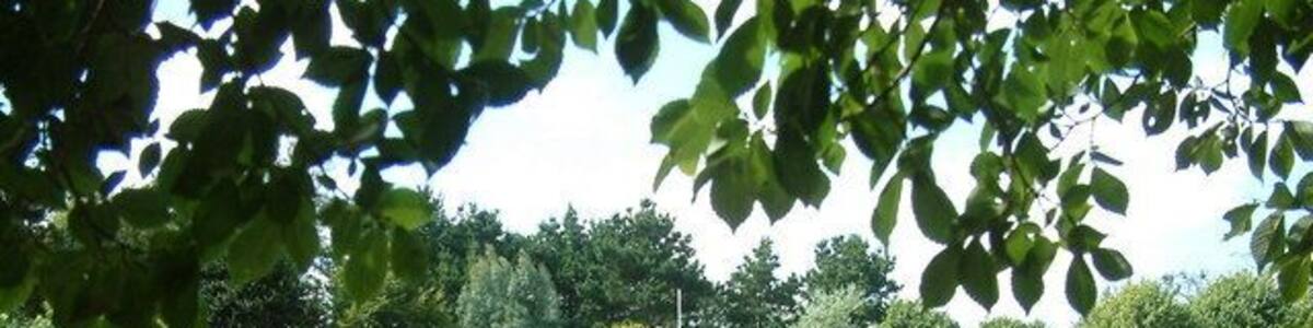 St. Just In Roseland Parish Church. When the tide is in, the water comes right up to the trees on the left and makes a much better picture than the mud than can be seen now.