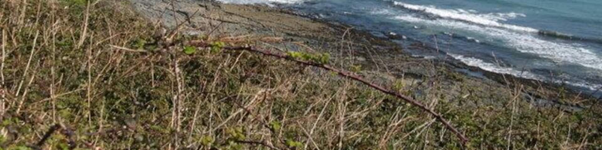 A coastal landscape with a sandy beach, rocky shoreline, and grassy hills.