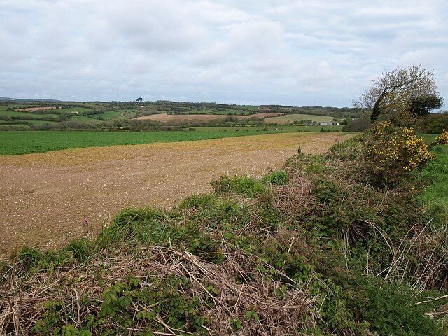 Field boundary and field Footpath 308/17/3 runs along the right-hand side of this bank, having crossed the lane from Helston Water to Penwethers. The large field beyond crosses into SW7942. The further landscape is in SW7842.
