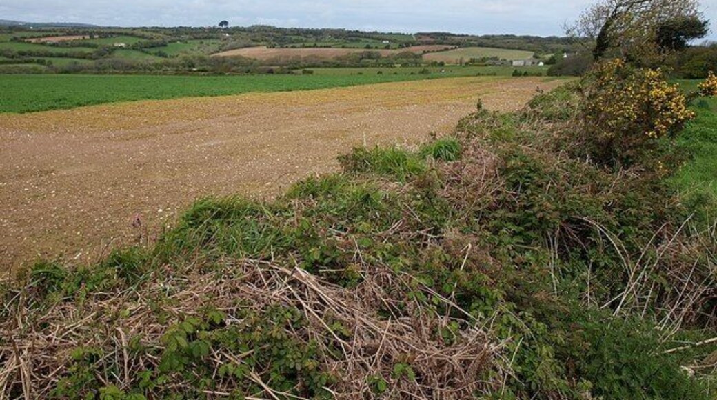 Field boundary and field Footpath 308/17/3 runs along the right-hand side of this bank, having crossed the lane from Helston Water to Penwethers. The large field beyond crosses into SW7942. The further landscape is in SW7842.