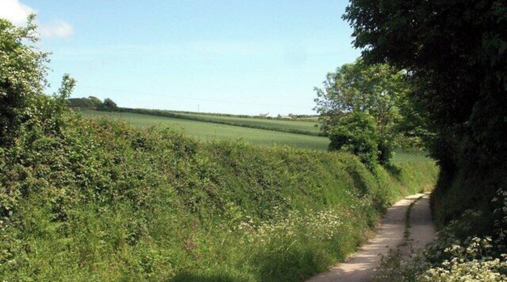 Lane and fields Lane to Lambourne with Ruan High Lanes on the skyline