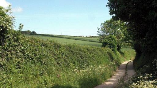 Lane and fields Lane to Lambourne with Ruan High Lanes on the skyline