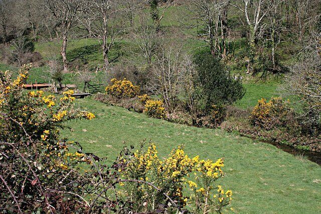 Carnon River Valley, north of Twelveheads.