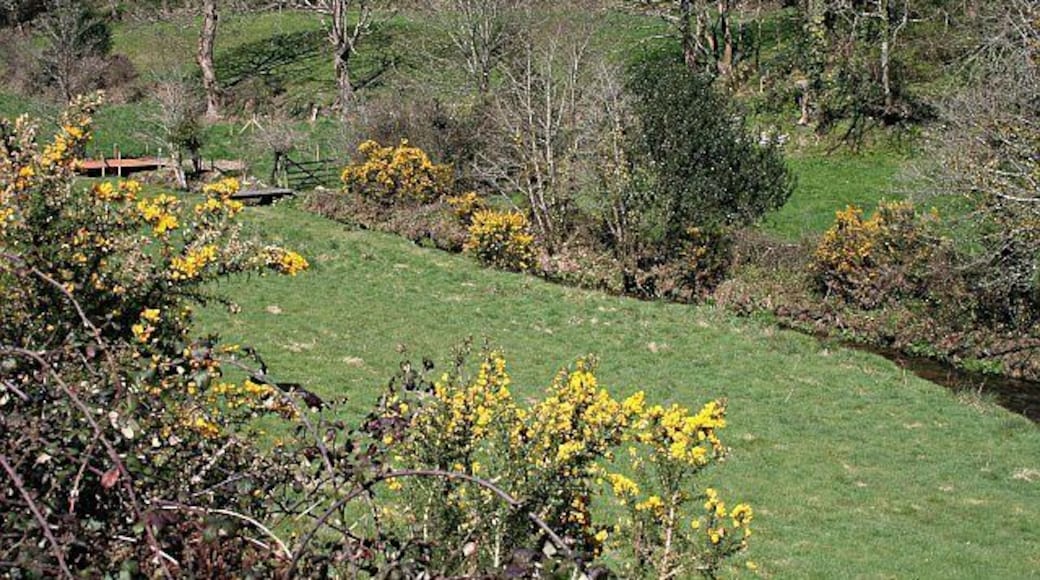 Carnon River Valley, north of Twelveheads.