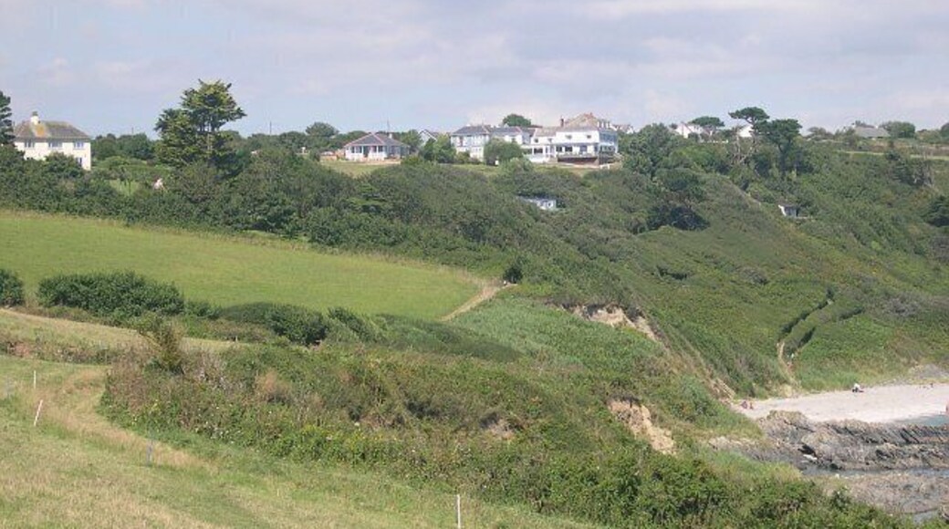 Hotels above Porthbean Beach. It's a long way back up for the weary sunbather!