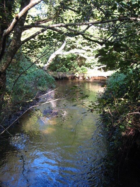 The Tresillian River at Tresowga Looking upstream from the road bridge.