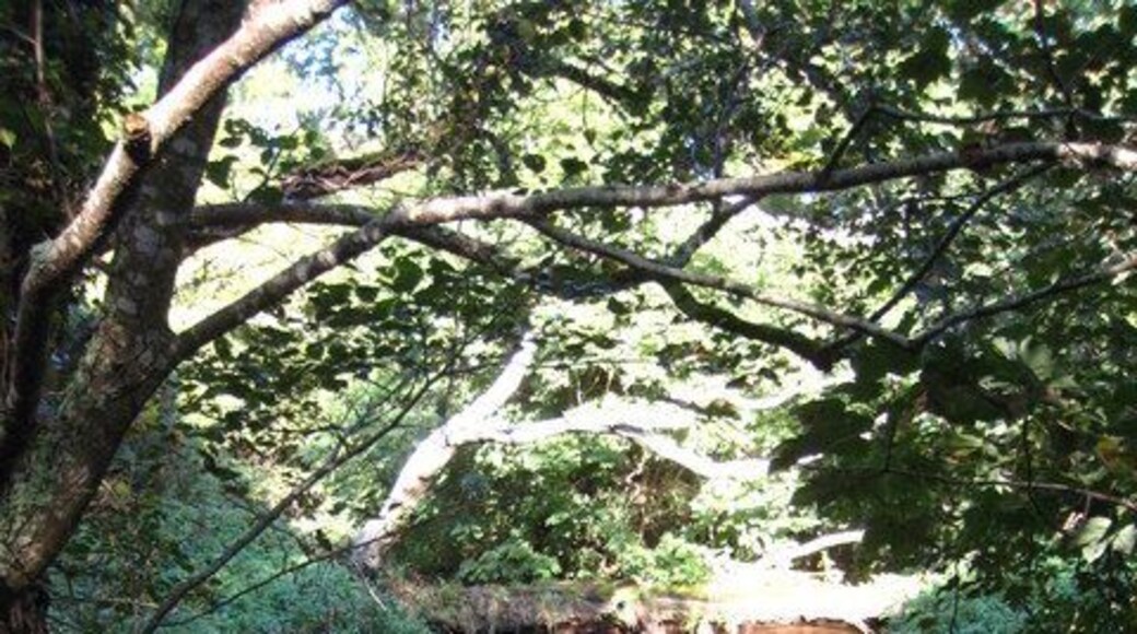 The Tresillian River at Tresowga Looking upstream from the road bridge.