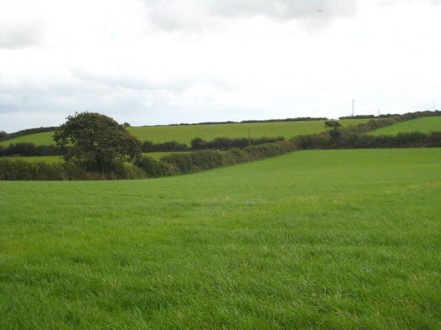 Fields at Hillhead Ladock