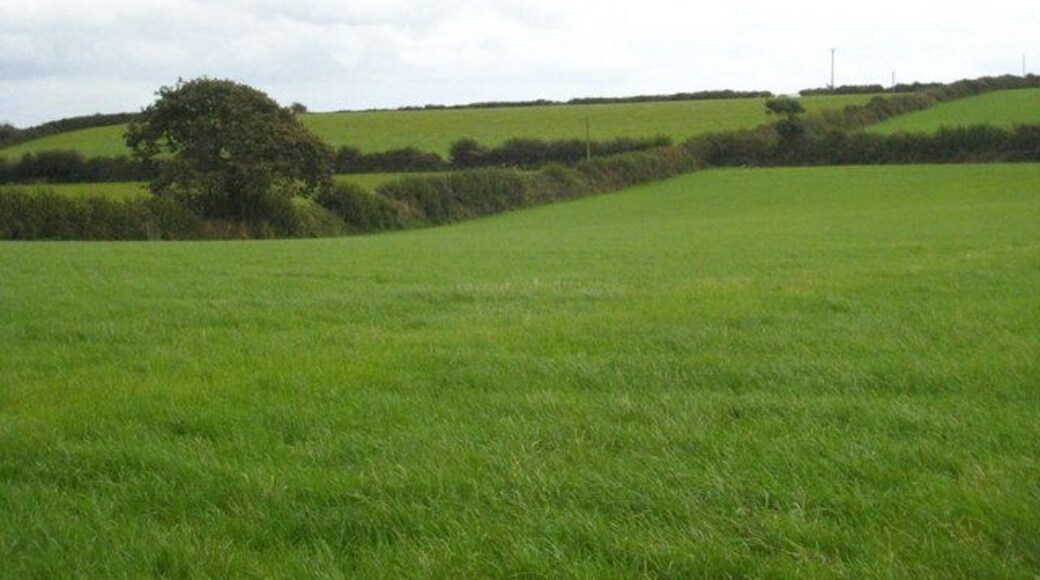 Fields at Hillhead Ladock