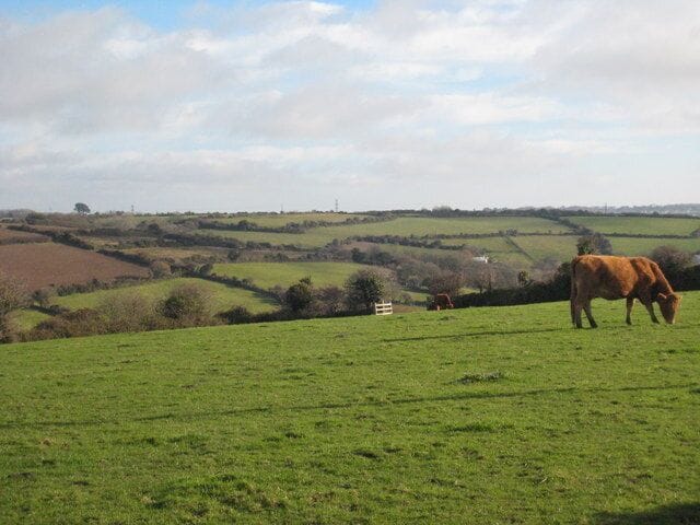 Pasture above the Poldice Valley Looking towards Cross Lanes.