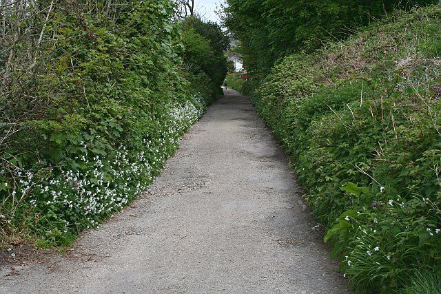 Path Through the Centre of Ponsanooth. This footpath leads from the new housing developments on the west of the village to the old centre of the village.