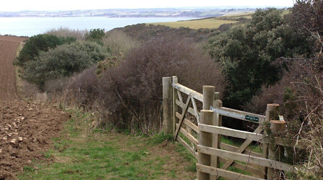 Footpath to Tregagle's Hole The footpath from Nare Head Car Park goes down into this wooded valley on it's way to the coast.