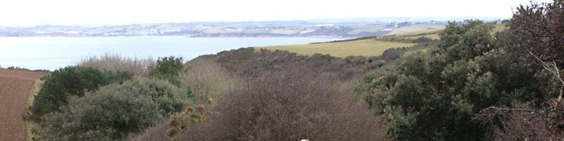 Footpath to Tregagle's Hole The footpath from Nare Head Car Park goes down into this wooded valley on it's way to the coast.
