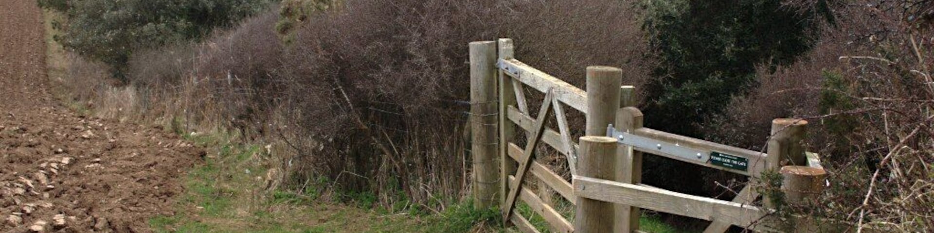 Footpath to Tregagle's Hole The footpath from Nare Head Car Park goes down into this wooded valley on it's way to the coast.