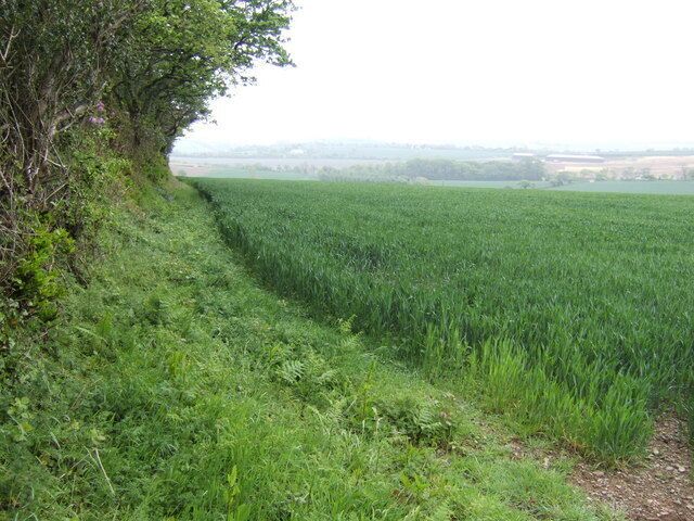 Edge of Barn Wood Looking south from near Trenowth towards the upper Fal valley.