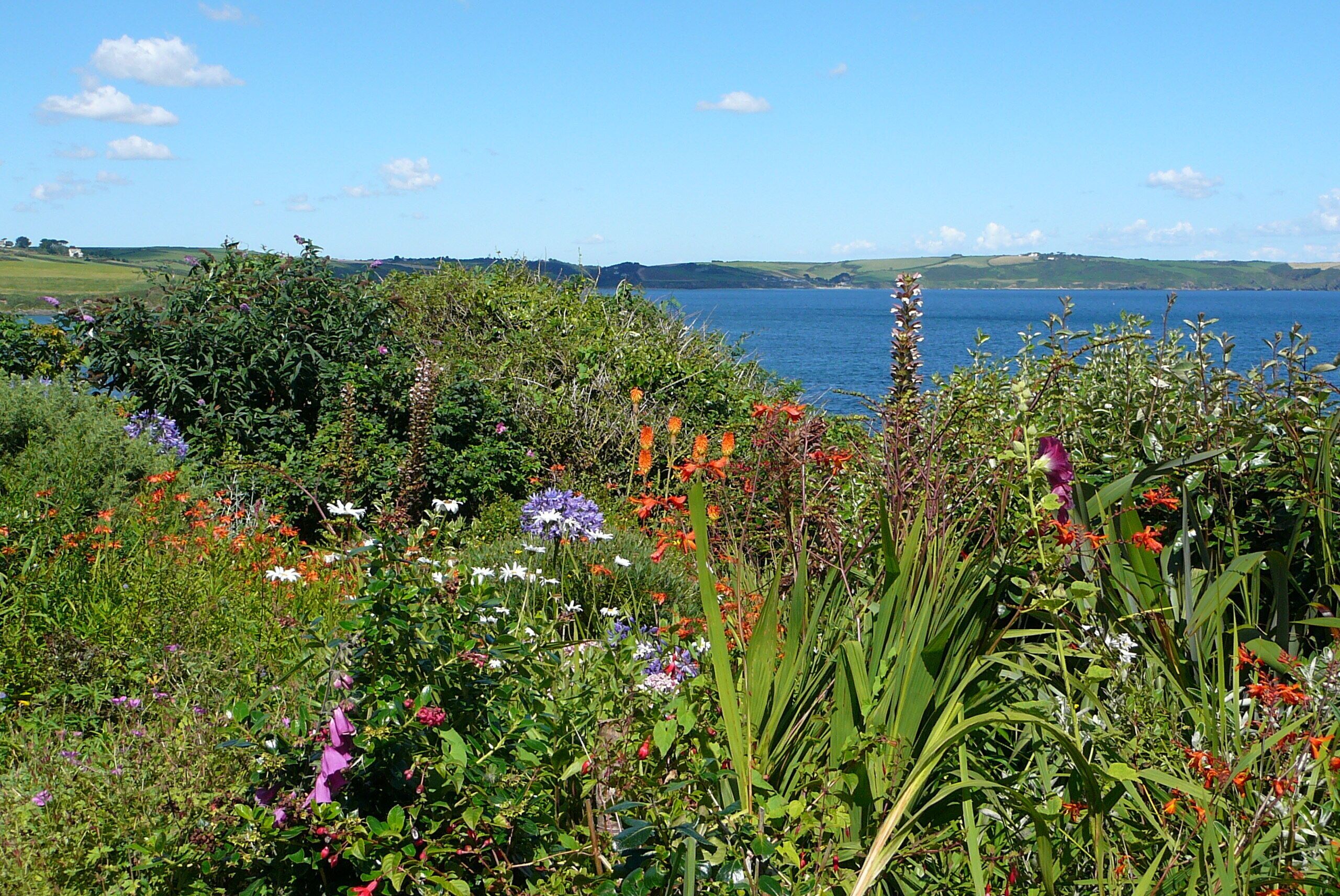 This house, the last (or first) in Portscatho, always has a wonderful semi-wild garden in the summer.