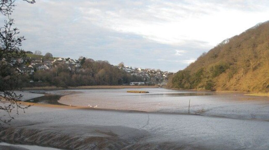 Tidal mud flats on the Tresillian River. Looking North towards Tresillian village.