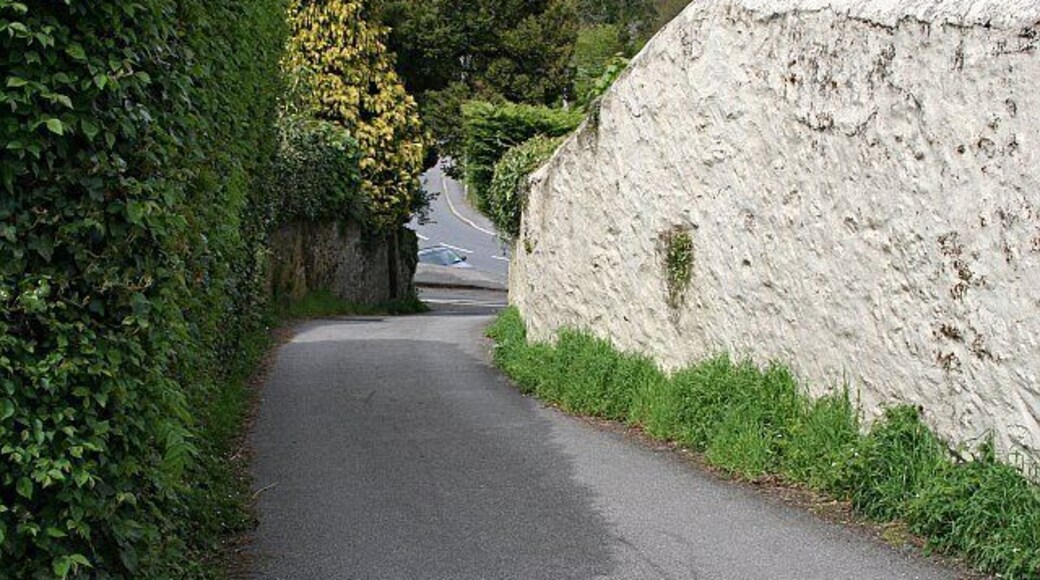 Narrow Lane, Ponsanooth. The centre of the village of Ponsanooth is criss-crossed by narrow lanes, barely more than footpaths. This one leads steeply down to the main road in the valley floor.