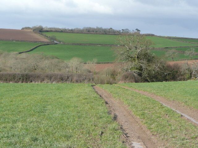 View to the south of Philleigh The road to the King Harry Ferry can be seen ascending the hill in the distance.