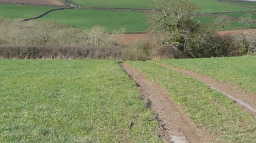 View to the south of Philleigh The road to the King Harry Ferry can be seen ascending the hill in the distance.