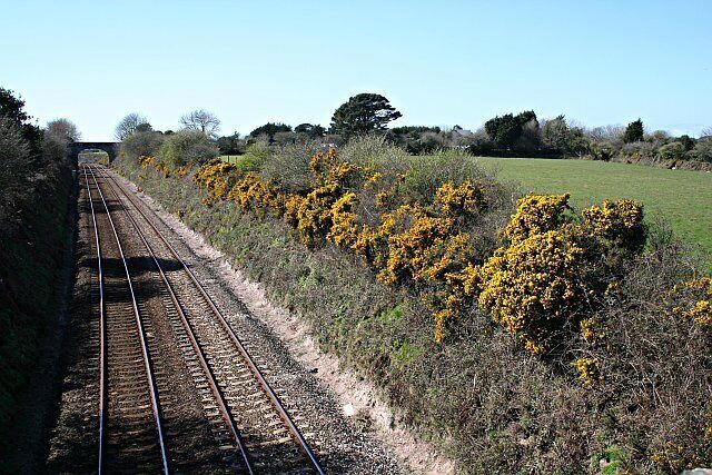 Mainline Railway. The mainline railway through Cornwall in pasture land north of Chacewater.