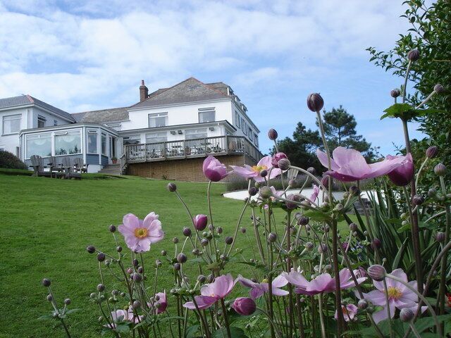 Driftwood Hotel - back garden