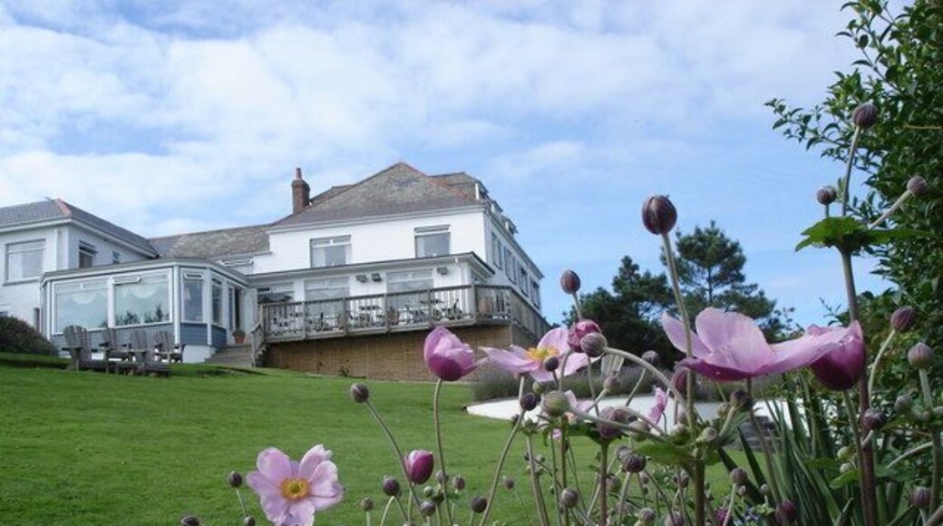 Driftwood Hotel - back garden