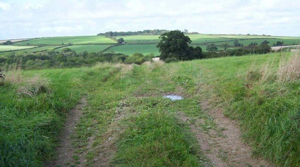Looking Westwards From Philleigh