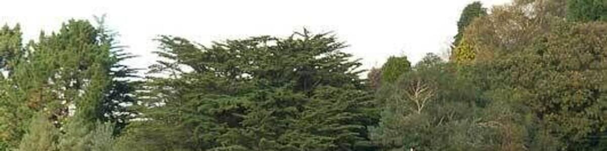 Creek Vean, Feock, Cornwall, England