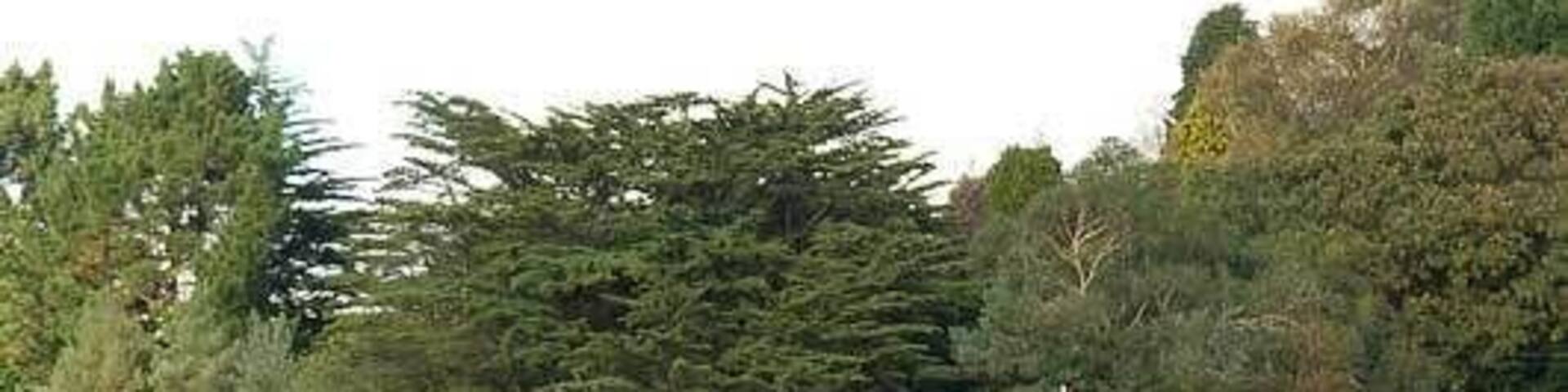 Creek Vean, Feock, Cornwall, England