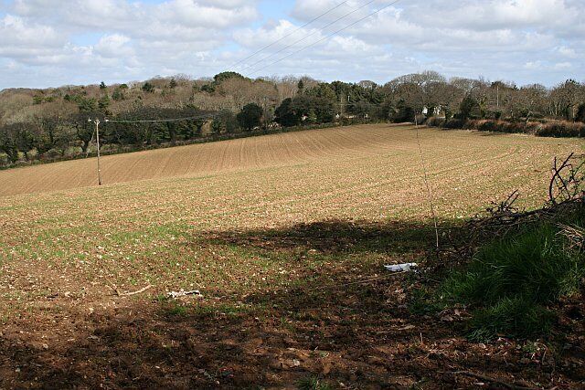 Arable Land west of Playing Place. Spring cereal crops just beginning to show green through the brown earth.