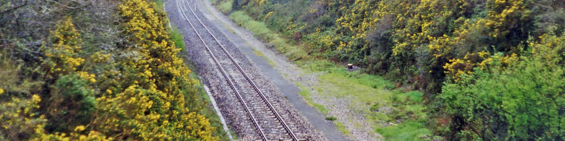 Site of Grampound Road station. View SW, towards Truro and Penzance: ex-GWR Plymouth - Penzance main line. The station was, which was behind the camera, closed 5/10/64 but the line has of course survived, although singled on this stretch at that time - but doubled again more recently.