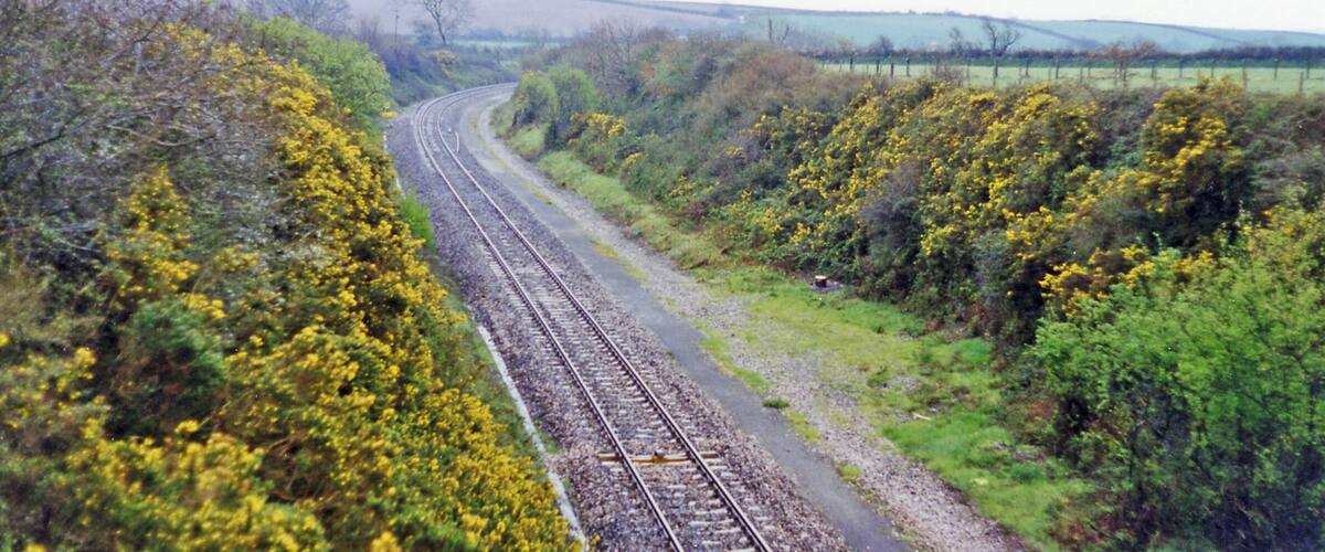 A railway track curving through a rural landscape with dense vegetation and fields.