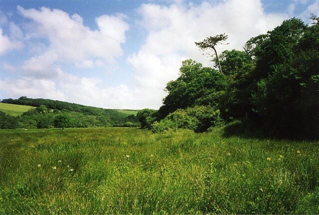 Cuby: the Fal valley near Tregony. The river has silted up significantly over the centuries and runs by the line of trees on the left. This shot was taken near the site of Tregonys medieval mills. A footpath leads up the valley to Golden Mill  see SW9246  on the way to Grampound