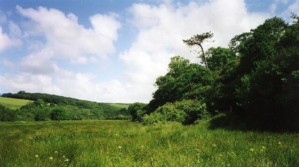 Cuby: the Fal valley near Tregony. The river has silted up significantly over the centuries and runs by the line of trees on the left. This shot was taken near the site of Tregonys medieval mills. A footpath leads up the valley to Golden Mill see SW9246 on the way to Grampound
