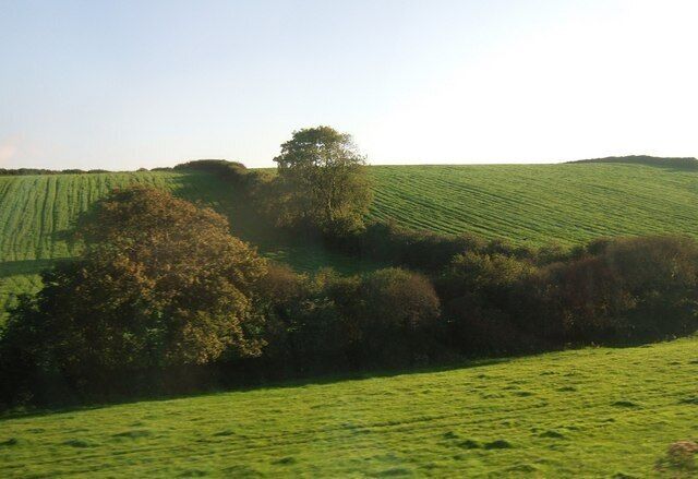 Fields near Grampound Road Seen from the train window, hedgerow trees and fields northwest of Trenithan Bennett in the evening sunlight.