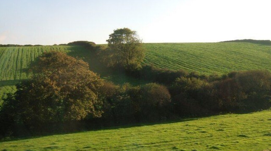 Fields near Grampound Road Seen from the train window, hedgerow trees and fields northwest of Trenithan Bennett in the evening sunlight.