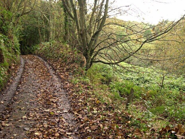 The upper reaches of Chapel Combe In contrast to the mining ravaged bracken covered surface of the lower part of the valley this is a typically green west-country Autumnal scene.