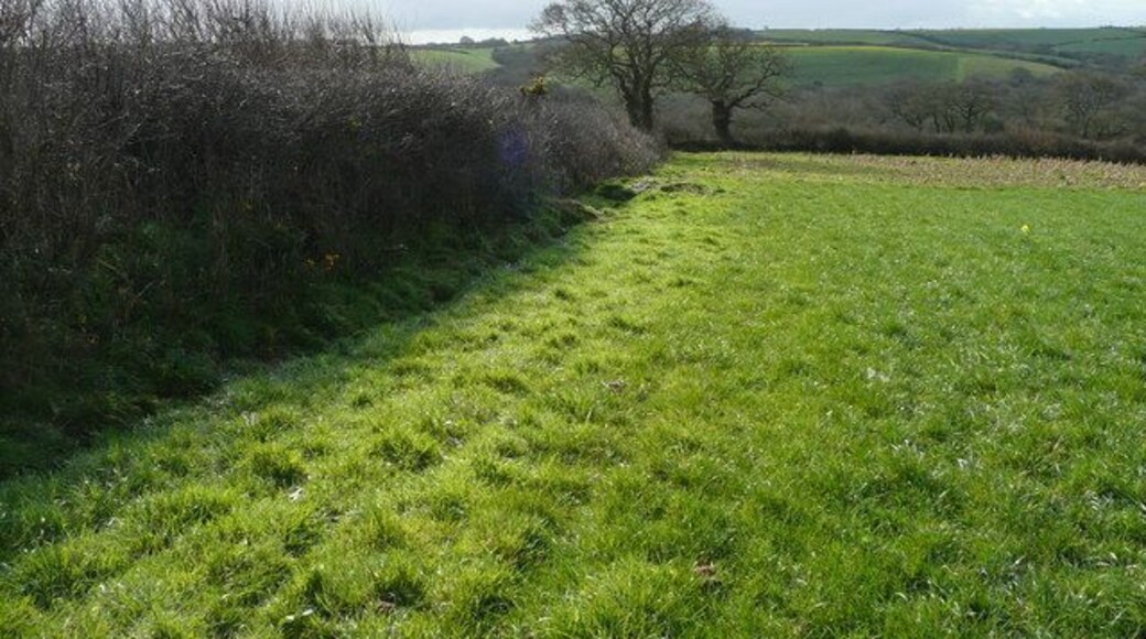 Corner of a hay field. View south of Philleigh over Roseland Peninsula landscape of grazing land interspersed with deep wooded valleys.