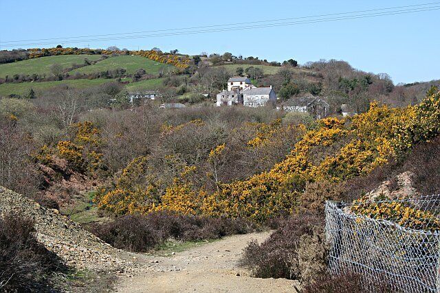 A rural landscape with a dirt path, yellow flowering bushes, and a white building on a hill.