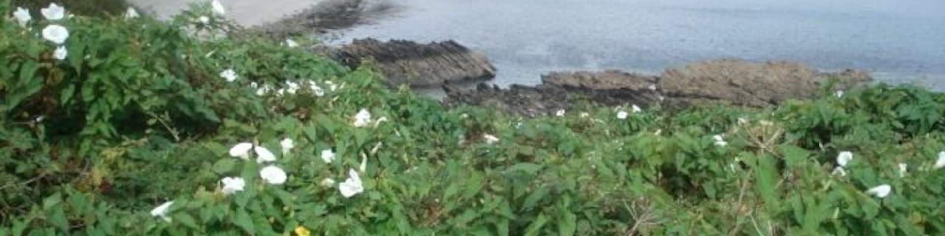 Porthbean Beach Looking north-east from the coast path.