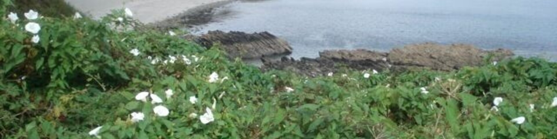 Porthbean Beach Looking north-east from the coast path.
