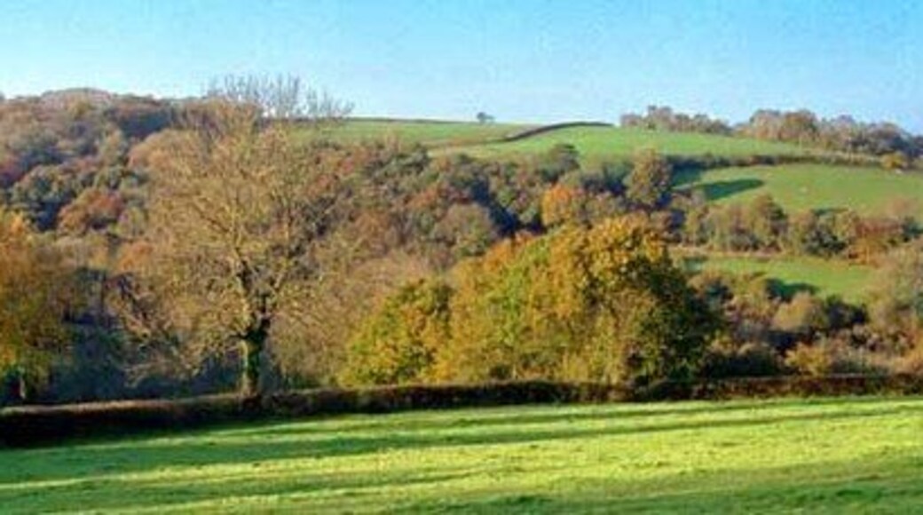 Autumn view from centre of grid square Grazing land on Devon Culm. Knapp Wood is on upper left, which is natural woodland.