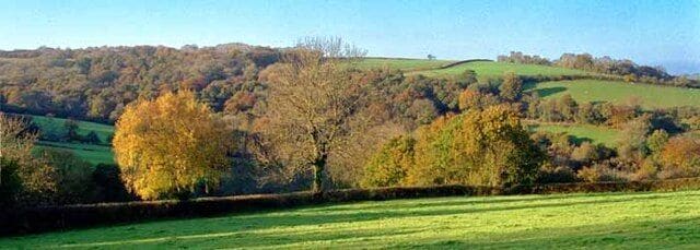 A rural landscape with rolling hills, a tree-lined field, and a stone wall.