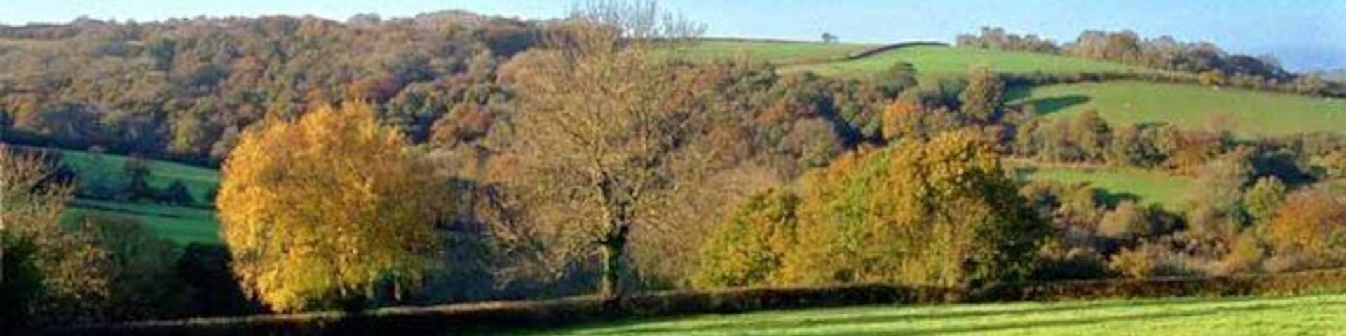 A rural landscape with rolling hills, a tree-lined field, and a stone wall.