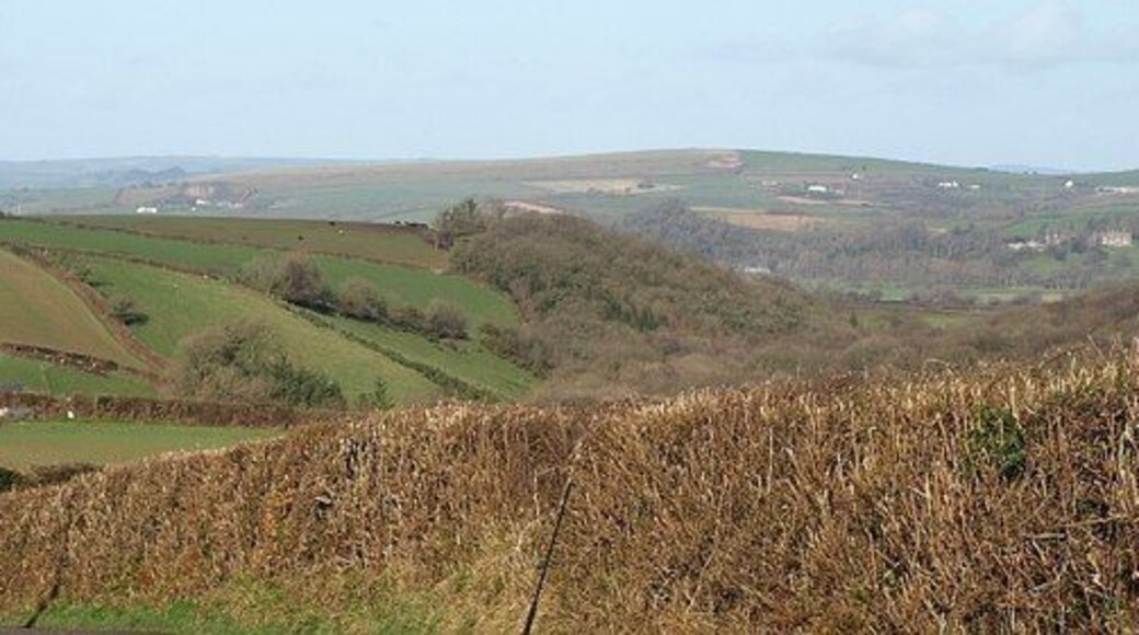 Farmland at Wanhill. Fields to the right of the scene shown in 666664, from the lane. Above the hedge are some of the woods along the western slopes of the valley seen in 671873, in particular Gill's Plat Wood, and beyond an invisible dip, Higher House Wood, which is in SS5724. The aerial of a car is visible in the centre, and the edge of the farm buildings is on the left.